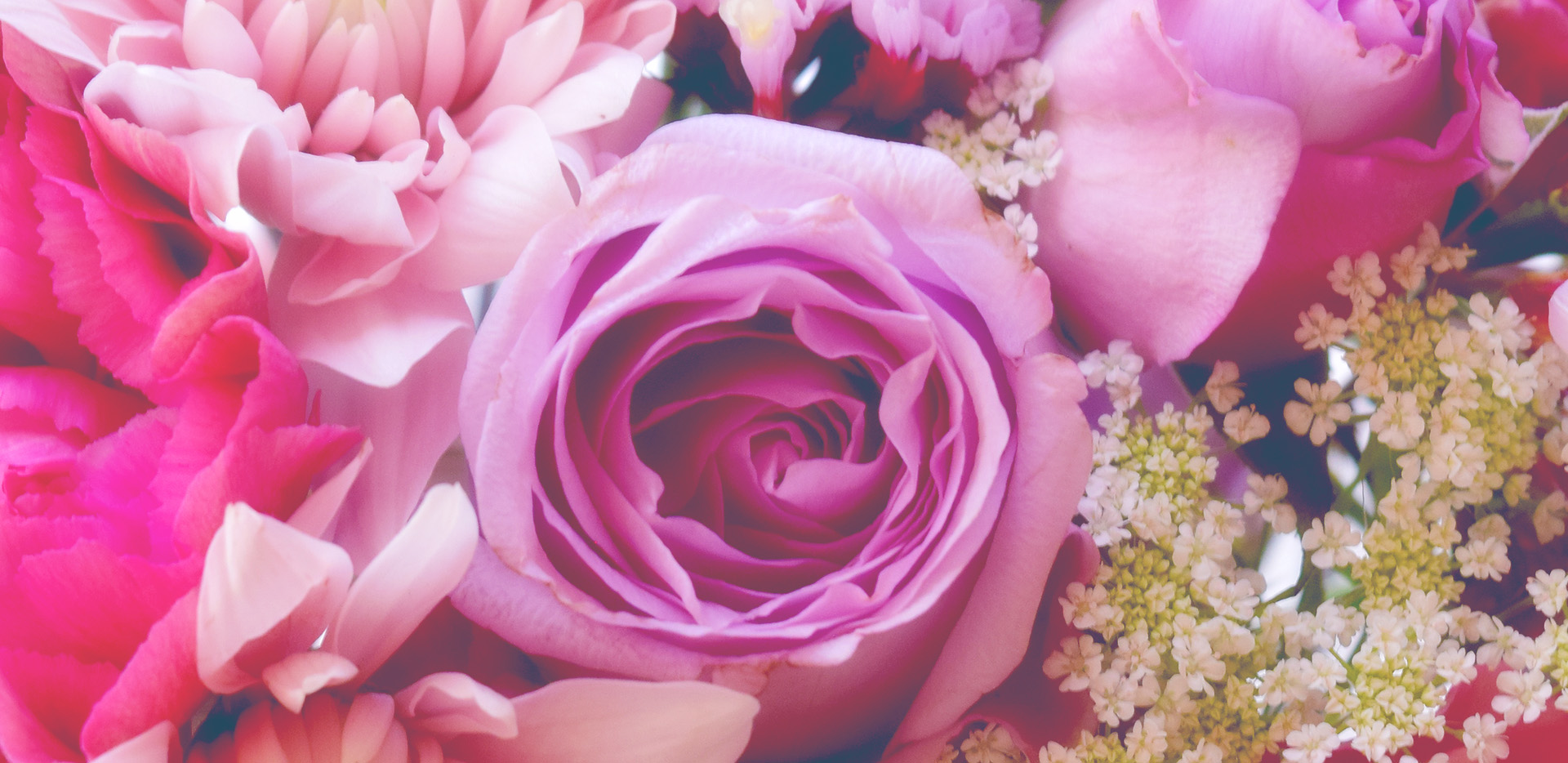 toujours トゥジュール